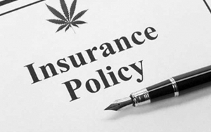 Marijuana Insurance