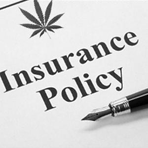 Marijuana Insurance companies