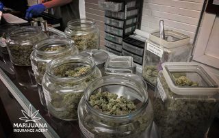 marijuana dispensaries crime