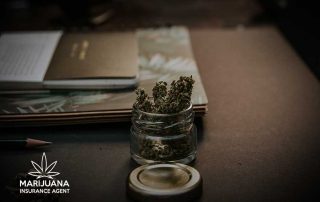 marijuana businesses need cannabis insurance options