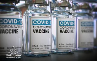 cannabis business adapt covid 19 vaccine