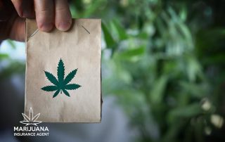 insurance for cannabis delivery businesses