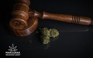 oregon cannabis insurance litigation