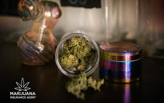 States Legislation Worker Compensation for Medical Marijuana Use